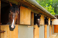 free Dyers Common stable construction quotes